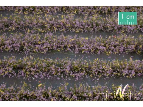 Mininatur Blumenfeld-Streifen - Violett - ca. 210cm - H0 / TT (767-24)