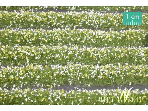 Mininatur Blütenstreifen - Weiss - ca. 67cm - H0 / TT (731-21S)