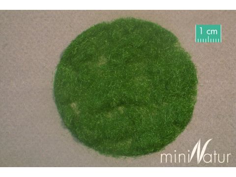 Mininatur Gras-Flock 2mm - Sommer - 50g (002-22)