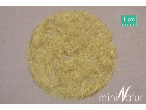Mininatur Gras-Flock 2mm - Spätherbst - 100g - ALL (002-04)