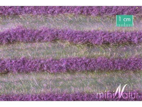 Mininatur Lavendelfeld Streifen - Sommer - ca. 336cm - H0 / TT (792-22)