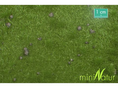Mininatur Viehweide mit Maulwurfshügeln - Sommer - ca. 31,5x25cm - H0 / TT (714-22S)