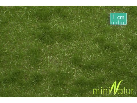 Mininatur Viehweide - Sommer - ca.15x8 cm - H0 / TT (713-22MS)