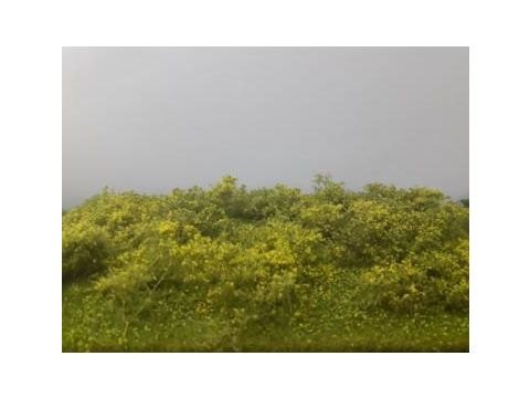 Mininatur Waldlichtung - Frühling - ca. 31,5x25 cm - H0 / TT (742-21S)
