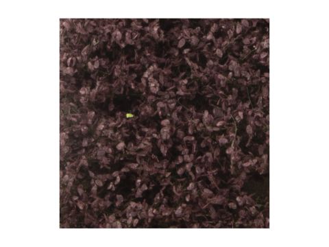 Silhouette Blutbuchenlaub - Sommer - ca. 15x4cm - H0 / TT (922-22S)