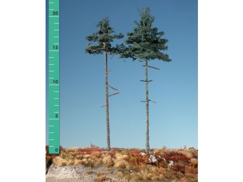 Silhouette Innenwald-Tanne - Sommer - 3 (ca. 22-29cm) - 1:45+ (278-32)