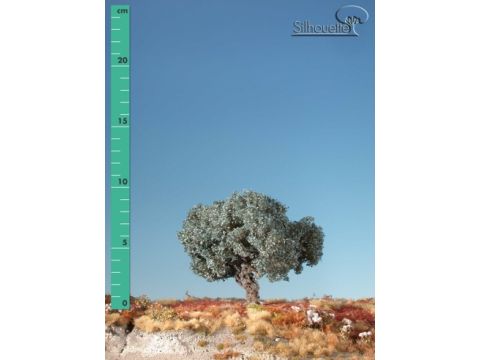 Silhouette Olivenbaum - Sommer - 0 (< ca. 8cm) (245-02)