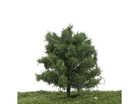 Silhouette Pflaumenbaum - Sommer - 12-16cm (229-42)
