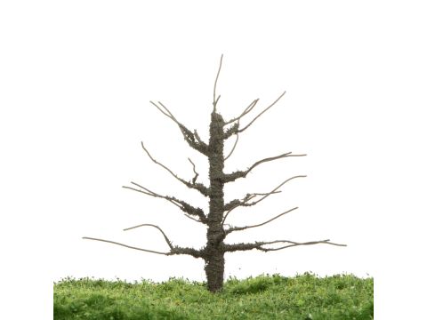 Unique Apfelbaum - Baumrohling - 12-16cm (81-0226-01)