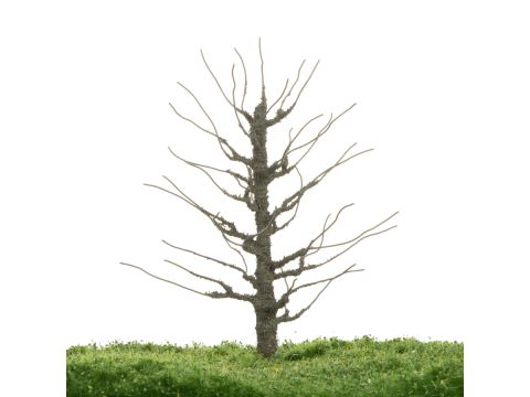 Unique Birnbaum - Baumrohling - 12-16cm (81-0228-01)