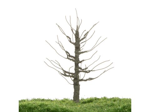 Unique Pflaumenbaum - Baumrohling - 12-16cm (81-0229-01)