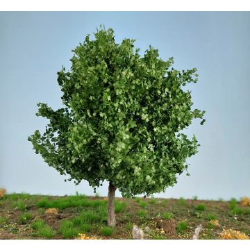 Silhouette Ahorn - Sommer -  - 10-13cm - H0 / TT (230-42)