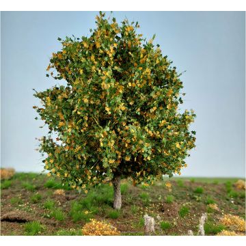 Silhouette Ahorn - Frühherbst -  - 10-13cm - H0 / TT (230-43)
