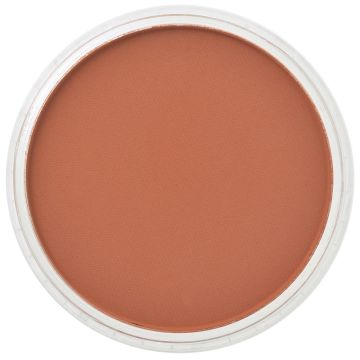 PanPastel Burnt sienna  (274.5)