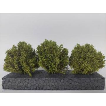 Silhouette Büsche Set - Frühling - ca. 3-4 cm (350-51)