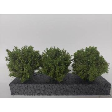 Silhouette Büsche Set - sommer - ca. 3-4 cm (350-52)