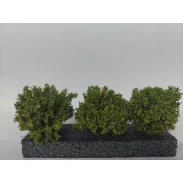 Silhouette Büsche Set - Fruhherbst - ca. 3-4 cm (350-53)