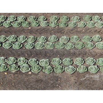 Juweela Kopfsalat - 120x - 0 / 1:43,5 (JW24237)