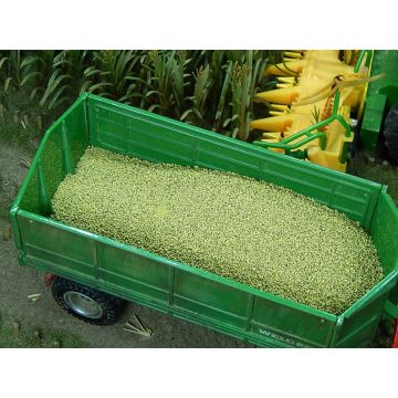 Juweela MAIS - KÖRNER - GELB -  - 1 / 1:32 (JW23304)