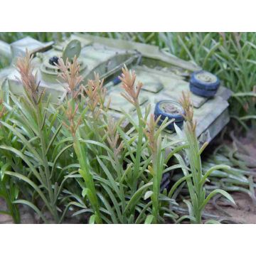 Juweela MAISPFLANZEN - GRUN - 10.00 x 5.40 x 0.20 cm - 1 / 1:32 (JW23288)