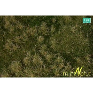 Mininatur Auenwiese - Frühherbst - ca.30x50 - N / Z (733-13)