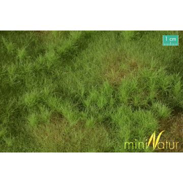 Mininatur Auenwiese - Frühling - ca. 25x15,5cm - H0 / TT (733-21S)