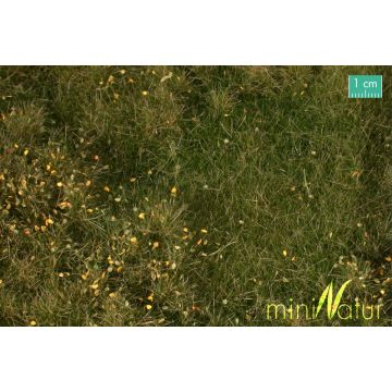 Mininatur Auenwiese mit Unkraut - Frühherbst - ca. 25x15,5cm - H0 / TT (734-23S)