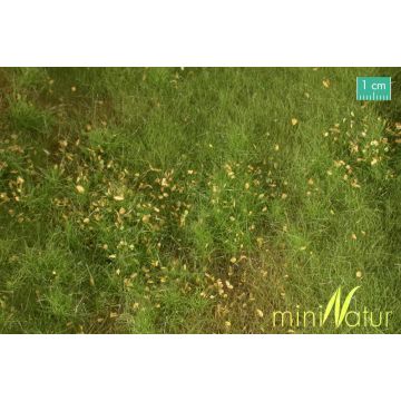 Mininatur Auenwiese mit Unkraut - Frühling - ca. 25x15,5cm - H0 / TT (734-21S)