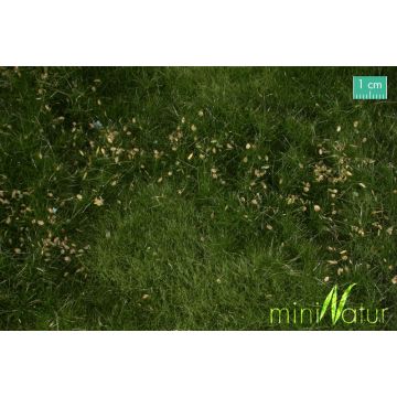 Mininatur Auenwiese mit Unkraut - Sommer - ca. 25x15,5cm - H0 / TT (734-22S)
