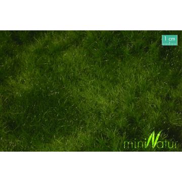 Mininatur Auenwiese - Sommer - ca.15x8 cm - N / Z (733-12MS)