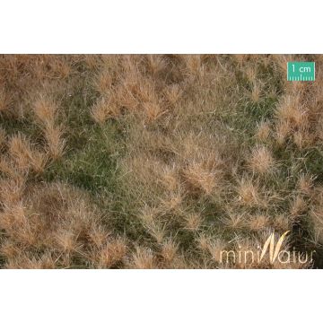 Mininatur Auenwiese - Spätherbst - ca. 50x31,5cm - H0 / TT (733-24H)
