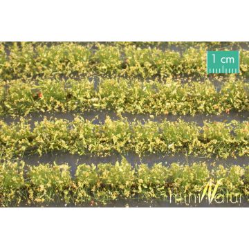 Mininatur Blumenfeld-Streifen - Gelb - ca. 42cm - H0 / TT (767-22S)
