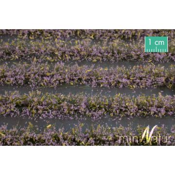 Mininatur Blumenfeld-Streifen - Violett - ca. 42cm - H0 / TT (767-24S)
