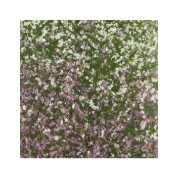 Mininatur Blütenbüschel - Frühherbst - ca. 15x4cm - 1:45+ (726-33S)