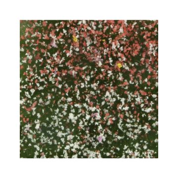 Mininatur Blütenbüschel - Sommer - ca 7,5 x 4 cm - H0 / TT (726-22MS)