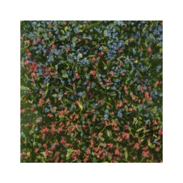 Mininatur Erdbeer-Brombeer Sträucher - Sommer - ca.15x8 cm - H0 / TT (724-22S)