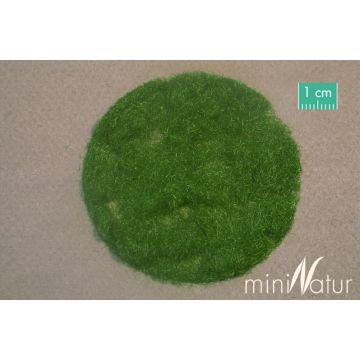 Mininatur Gras-Flock 2mm - Sommer - 50g - ALL (002-22)
