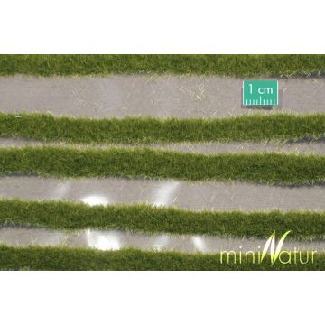 Mininatur Grasstreifen kurz - Frühherbst - ca. 15x4cm - H0 / TT (718-23S)