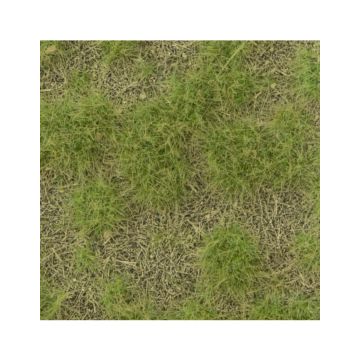 Mininatur Karstwiese - Frühling - ca. 31,5x25cm - H0 / TT (719-21S)