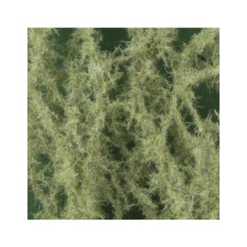 Mininatur Salbei  - Frühherbst - ca. 27x15 cm - H0 / TT (992-23)