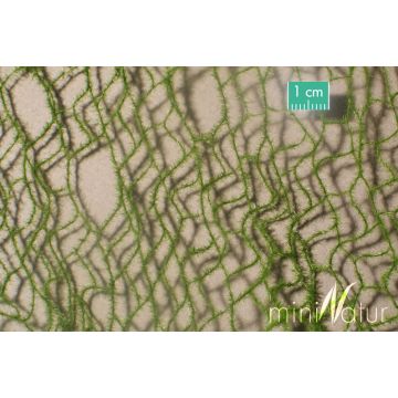 Mininatur Schachtelhalme - Sommer - ca 7,5 x 4 cm - H0 / TT (990-22MS)
