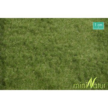 Mininatur Schafweide - Frühherbst - ca. 50x31,5cm - H0 / TT (715-23H)