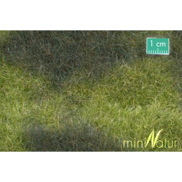 Mininatur Sumpfwiese - Frühherbst - ca. 50x31,5cm - H0 / TT (723-23H)