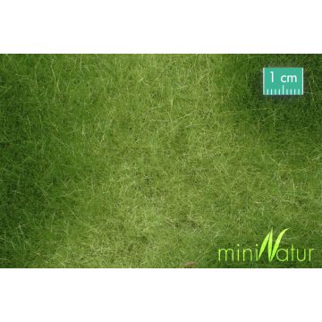Mininatur Sumpfwiese - Frühling - ca. 50x31,5cm - H0 / TT (723-21H)