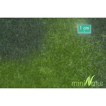 Mininatur Sumpfwiese - Sommer - ca. 50x31,5cm - H0 / TT (723-22H)