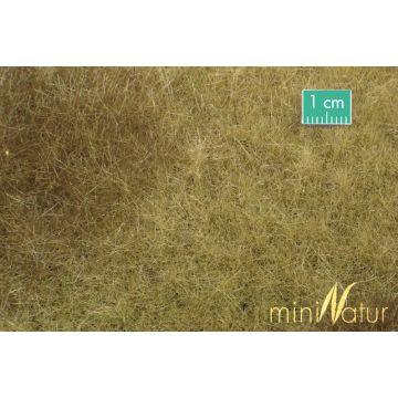 Mininatur Sumpfwiese - Spätherbst - ca. 50x31,5cm - H0 / TT (723-24H)