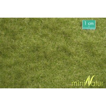 Mininatur Viehweide - Frühherbst - ca. 50x31,5cm - H0 / TT (713-23H)
