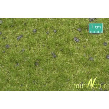 Mininatur Viehweide mit Maulwurfshügeln - Frühherbst - ca. 50x31,5cm - H0 / TT (714-23H)