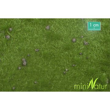 Mininatur Viehweide mit Maulwurfshügeln - Sommer - ca. 50x31,5cm - H0 / TT (714-22H)