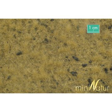 Mininatur Viehweide mit Maulwurfshügeln - Spätherbst - ca. 31,5x25cm - H0 / TT (714-24S)